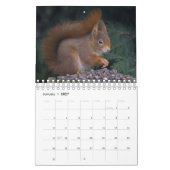 Eekhoorn Kalender (Jan 2027)