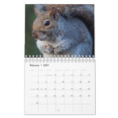 Eekhoorn Kalender (Feb 2027)