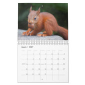 Eekhoorn Kalender (Mar 2027)