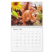 eekhoorn kalender (Feb 2027)