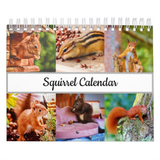 eekhoorn kalender