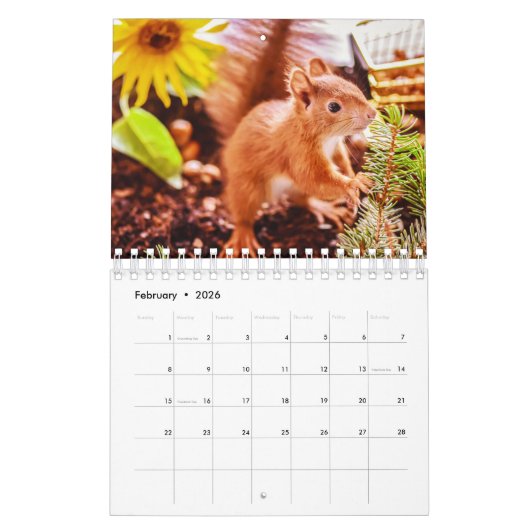 eekhoorn kalender (Feb 2026)