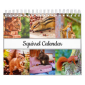 eekhoorn kalender (Hoes)