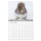 Eekhoorn Kalender voor dierenvrienden of cadeau vo (Jan 2026)