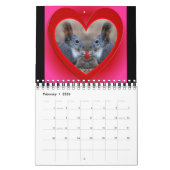 Eekhoorn Kalender voor dierenvrienden of cadeau vo (Feb 2026)