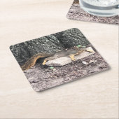 eekhoorn kartonnen onderzetters (Schuin)