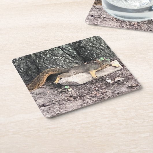 eekhoorn kartonnen onderzetters (Schuin)