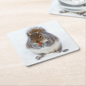 eekhoorn kartonnen onderzetters (Schuin)