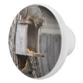 Eekhoorn Keramische knol Knop (Rechts)