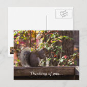 Eekhoorn Khow Tijd denken aan je Briefkaart (Voorkant / Achterkant)