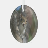 Eekhoorn Kijken Van Een Boom Fotografisch Glas Ornament (Voorkant links)