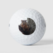 Eekhoorn kijkt naar je golfbal golfballen (Voorkant)