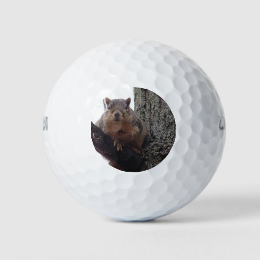 Eekhoorn kijkt naar je golfbal golfballen (Voorkant)