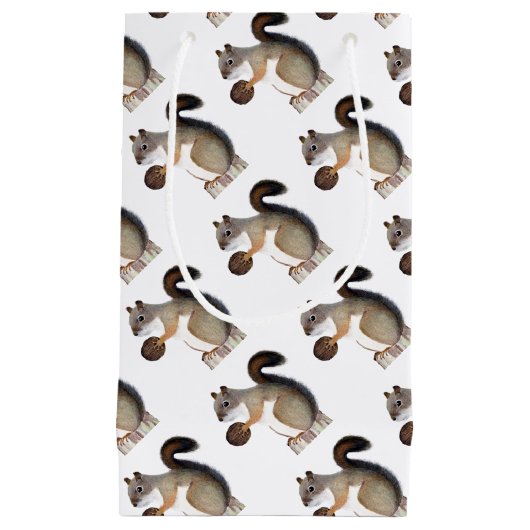 eekhoorn klein cadeauzakje (Voorkant)