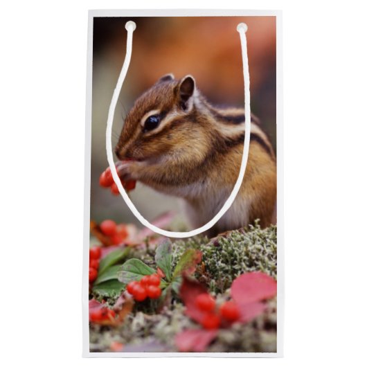 eekhoorn klein cadeauzakje (Voorkant)