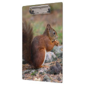 eekhoorn klembord (Links)