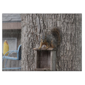 Eekhoorn Knipplank Snijplank