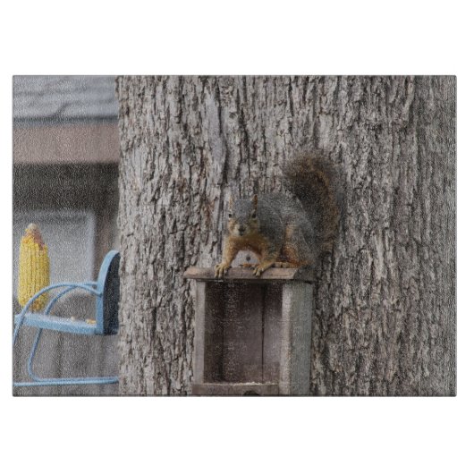 Eekhoorn Knipplank Snijplank (Voorkant)