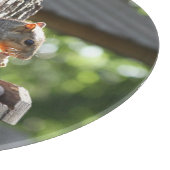 Eekhoorn Knipplank Snijplank (Hoek)