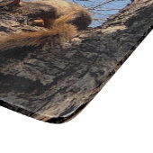 Eekhoorn Knipplank Snijplank (Hoek)