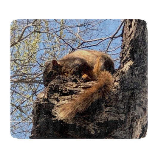 Eekhoorn Knipplank Snijplank (Voorkant)