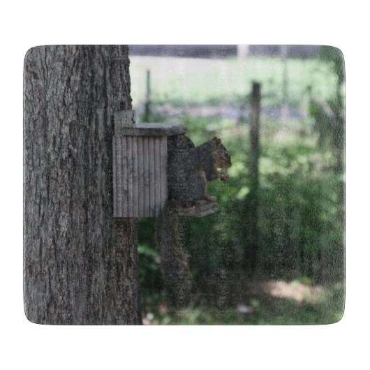 Eekhoorn Knipplank Snijplank (Voorkant)