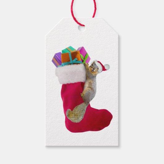 Eekhoorn kous Gift Labels Cadeaulabel (Voorkant)
