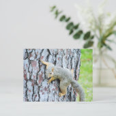 Eekhoorn kruipt een boom briefkaart (Staand voorkant)