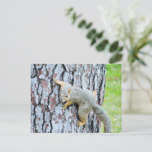 Eekhoorn kruipt een boom briefkaart (Staand voorkant)
