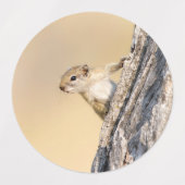 Eekhoorn Labels (Design 1)