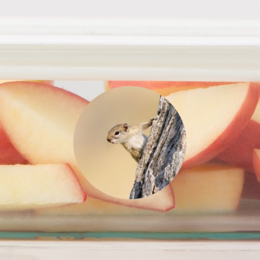 Eekhoorn Labels (Aangebracht)