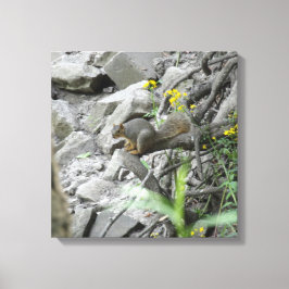 Eekhoorn langs een griezelbank canvas afdruk