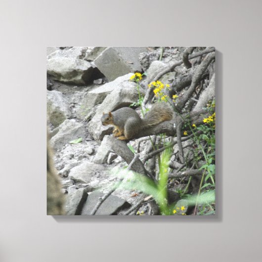 Eekhoorn langs een griezelbank canvas afdruk (Voorkant)