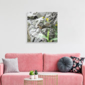 Eekhoorn langs een griezelbank canvas afdruk (Insitu (Woonkamer))