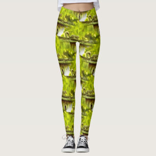 eekhoorn leggings