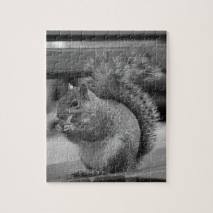 eekhoorn legpuzzel