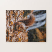 Eekhoorn Legpuzzel (Horizontaal)