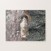 eekhoorn legpuzzel (Horizontaal)