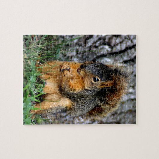 eekhoorn legpuzzel (Horizontaal)