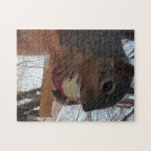 eekhoorn legpuzzel (Horizontaal)