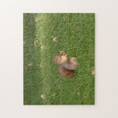 eekhoorn legpuzzel (Verticaal)