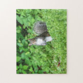 eekhoorn legpuzzel (Verticaal)