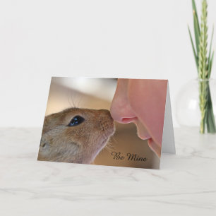 Eekhoorn liefde zijn mijn Valentijnsdag Feestdagen Kaart