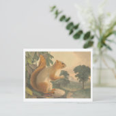 eekhoorn lithografie Briefkaart (Staand voorkant)