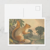 eekhoorn lithografie Briefkaart (Voorkant / Achterkant)