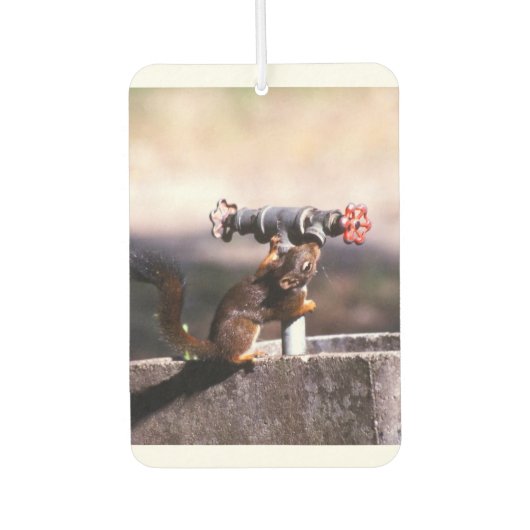 Eekhoorn luchtverfrisser (Voorkant)