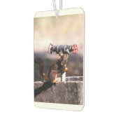 Eekhoorn luchtverfrisser (Links)