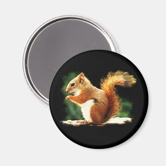 eekhoorn magneet (Voorkant / Achterkant)