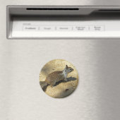 eekhoorn magneet (Insitu (Vaatwasser))