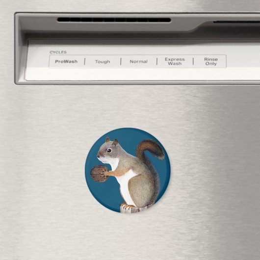 eekhoorn magneet (Insitu (Vaatwasser))